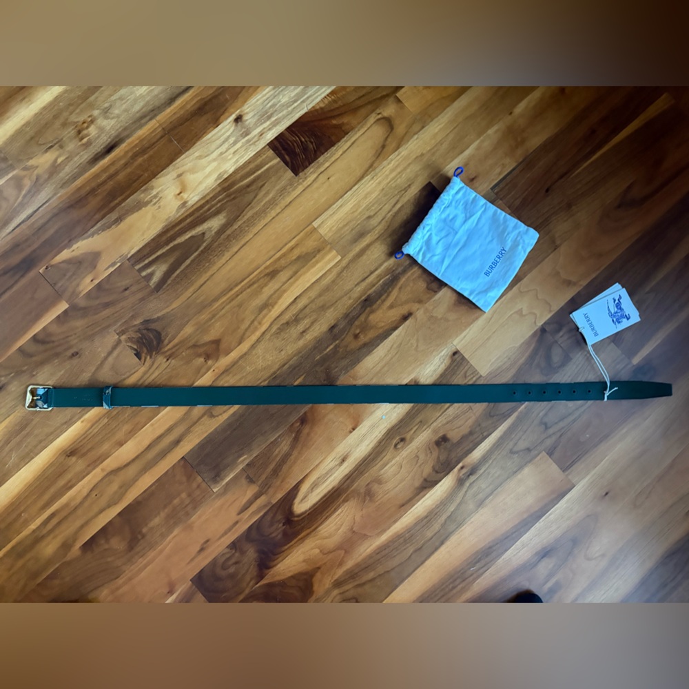 Burberry Green/Ivy Check Belt - Picture 16 of 17